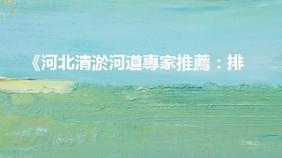 《河北清淤河道專家推薦：排名最好的清淤公司大揭秘！》